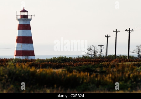 Luce occidentale, Gateway per la Baia di Fundy, Brier Island, Nova Scotia Foto Stock