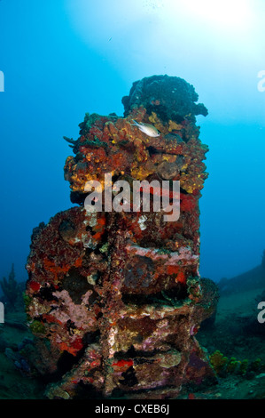 Scala sul relitto del Lesleen M freighter, affondato come un reef artificiale nel 1985 in Anse Cochon Bay, Santa Lucia, West Indies Foto Stock