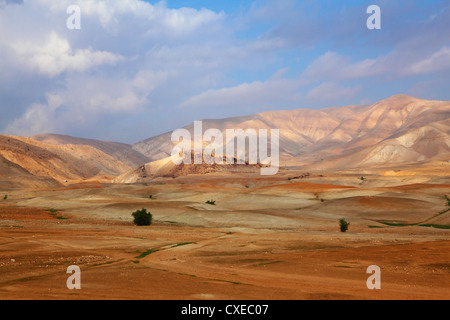 Il deserto del Sinai nel dicembre Foto Stock