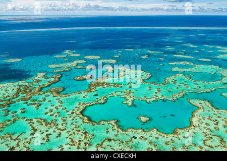 Acque turchesi della Hardy Reef, parte della Grande barriera Corallina. Foto Stock
