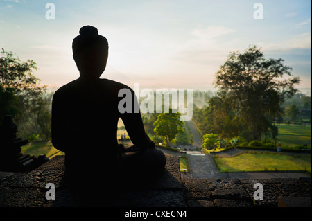 Buddha in pietra profilarsi all'alba al tempio di Borobudur, Sito Patrimonio Mondiale dell'UNESCO, Java, Indonesia, Asia sud-orientale, Asia Foto Stock