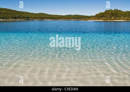 Diverse sfumature di blu al lago McKenzie sulla famosa Fraser Island. Foto Stock