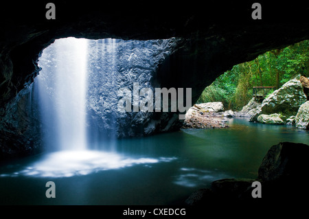 La caduta di Grotta Creek presso il ponte naturale di Springbrook National Park. Foto Stock