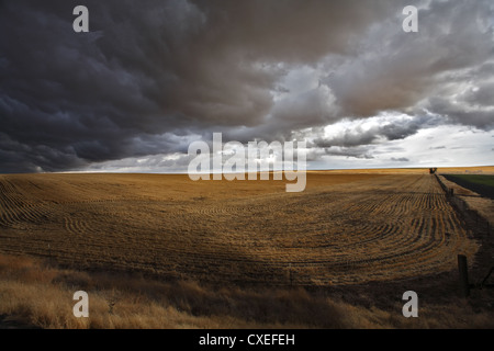 Un enorme thundercloud campi di cui sopra del Montana Foto Stock