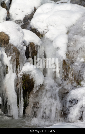 Cascata in inverno, Todtnauberg Foresta Nera, Germania Foto Stock