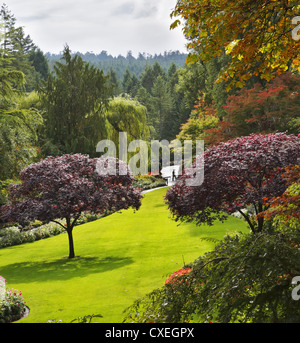 Butchard-giardino su isola di Vancouver in Canada Foto Stock