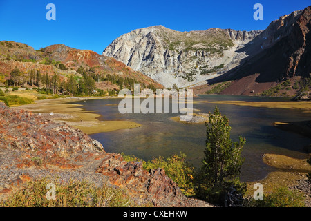 L'incantevole lago di Ellery in Yosemite Park. Foto Stock