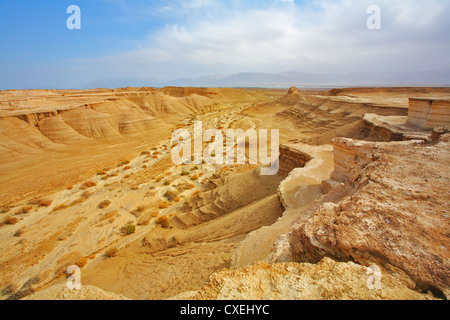 La costa del Mar Morto in Israele Foto Stock