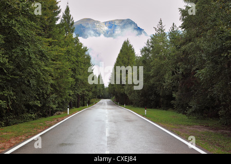 Wet shiny road nella Svizzera Foto Stock