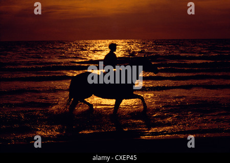 La donna a cavallo sulla spiaggia al tramonto / ILLINOIS Foto Stock