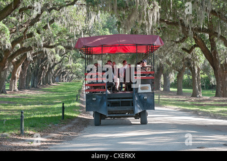 Boone Hall Plantation vicino a Charleston, Carolina del Sud--tour in autobus verso il basso il 'Avenue di querce". Foto Stock
