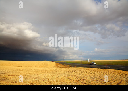 Il temporale in una campagna Foto Stock