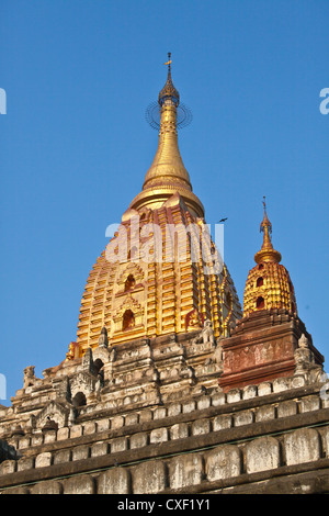 52 metro alto Ananda Paya o il tempio fu costruito dal re Kyanzittha intorno al 1100 - BAGAN MYANMAR Foto Stock