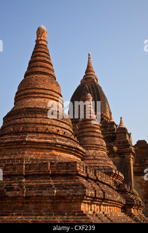 La ALO Gen. Pyi gruppo di Stupa - BAGAN, MYANMAR Foto Stock
