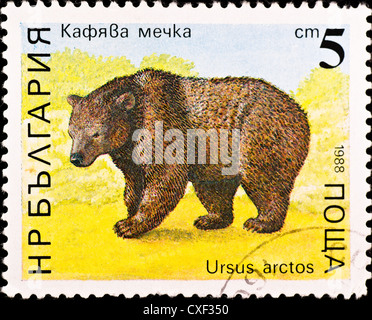 Francobollo mostra orso bruno Foto Stock
