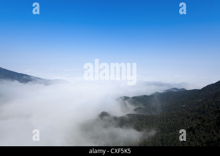 La nebbia inghirlandato la valle Foto Stock