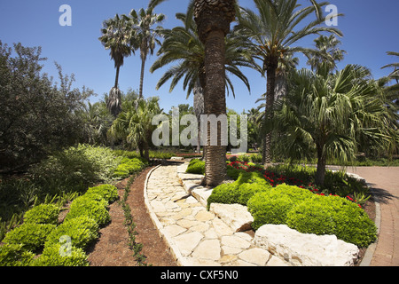 Palme e aiuole di fiori Foto Stock