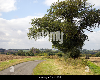 Una vecchia quercia accanto a uno stretto vicolo del paese di campagna con una chiesa a distanza Foto Stock