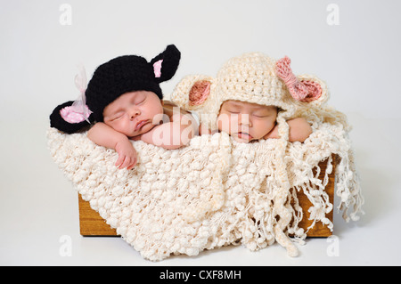 Twin fraterna neonato ragazze che indossano le pecore nere e cappelli di agnello. Foto Stock