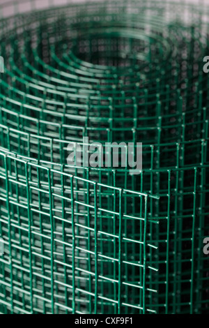 Verde rivestita di rete metallica utilizzata nel giardinaggio da proteggere le piante da animali. Foto Stock