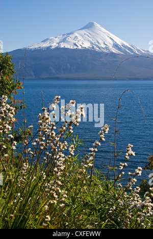 Elk198-3521v Cile, Lago Llanquihue, Volcan del vulcano di Osorno Foto Stock