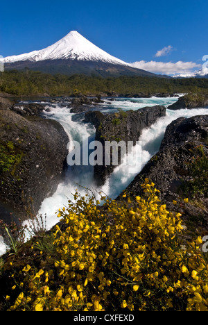 Elk198-3543v Cile, Petrohue, Saltos Petrohue cascata con Volcan del vulcano di Osorno Foto Stock