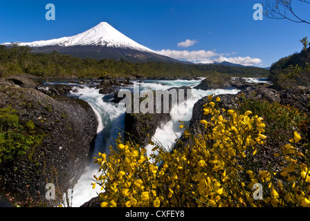Elk198-3544 Cile, Petrohue, Saltos Petrohue cascata con Volcan del vulcano di Osorno Foto Stock