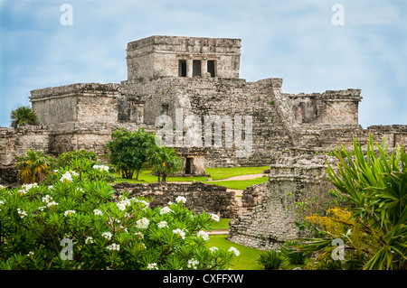 El Castillo a Tulum le rovine Maya, la penisola dello Yucatan, Messico. Foto Stock