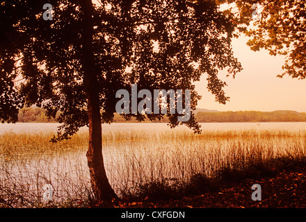 Tramonto sul lago di Banyoles Girona Spagna atardecer en el lago de bañolas Girona España Foto Stock