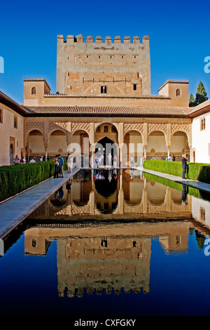 Patio de los Arrayanes Alhambra di Granada Andalusia Spagna Patio de los arrayanes en la alhambra de granada andalusia españa Foto Stock