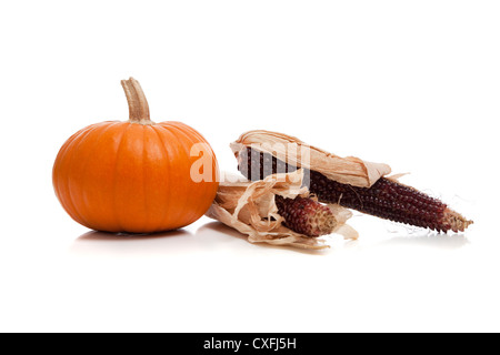 La zucca con mais Indiano su sfondo bianco Foto Stock