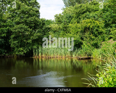 Inghilterra midlands worcestershire valle del fiume freccia redditch Foto Stock