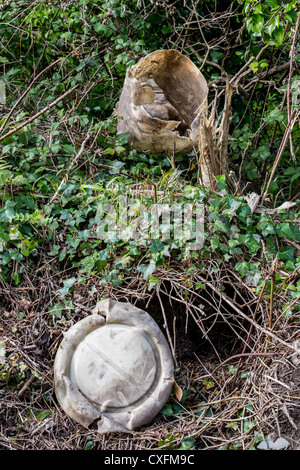 Lo scarico illegale di rifiuti su un vicolo del paese Foto Stock