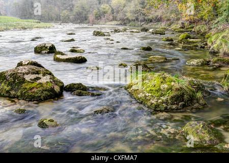 Fresco. Pulire, chiaro, foresta splash del flusso verso il basso su moss pietre coperte di boschi di autunno Foto Stock