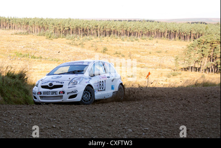 2012 Trackrod rally in Dalby Forest in North Yorkshire Foto Stock