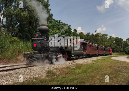 1907 locomotiva del treno a vapore situato in Tavares, Florida e ancora in esecuzione i brani utilizzando il legno come combustibile. Foto Stock