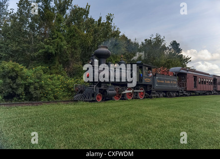 1907 locomotiva del treno a vapore situato in Tavares, Florida e ancora in esecuzione i brani utilizzando il legno come combustibile. Foto Stock
