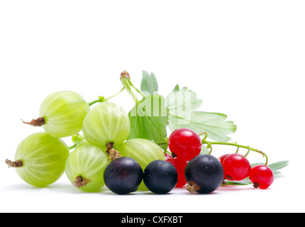 Fresca estate deliziosi frutti di bosco isolato su bianco Foto Stock