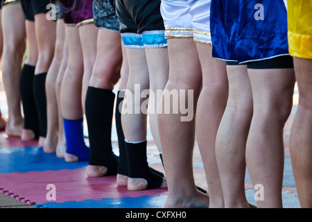 I vitelli in un centro di formazione per la Thai Boxing di Phuket Foto Stock