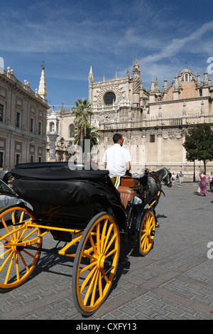 Carrozza trainata da cavalli nella Plaza Virgen de los Reyes dalla Cattedrale di Siviglia Spagna Foto Stock
