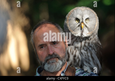 Falconer con scavando la civetta (Athene cunicularia) Foto Stock