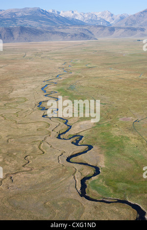 VISTA AEREA. Meandri del fiume Walker orientale con le montagne orientali della Sierra Nevada all'orizzonte. Bridgeport, Contea di Mono, California, Stati Uniti. Foto Stock
