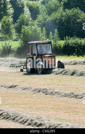 Fienagione sud-ovest della Francia Foto Stock