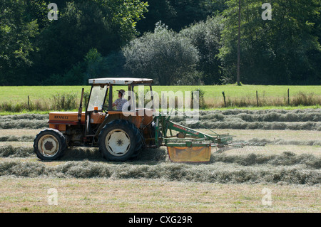 Fienagione sud-ovest della Francia Foto Stock