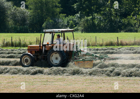 Fienagione sud-ovest della Francia Foto Stock