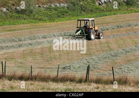 Fienagione sud-ovest della Francia Foto Stock