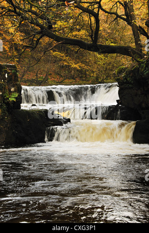 Il ferro di cavallo cade sul Nedd Fechan Fiume, Parco Nazionale di Brecon Beacons, Wales, Regno Unito Foto Stock