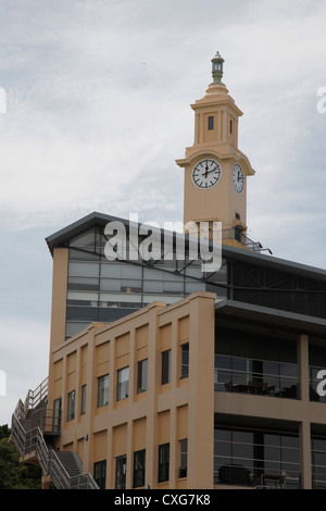 New South Wales cricket motivi a Sydney in Australia Foto Stock