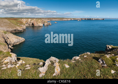 Costa NR ST GOVAN TESTA DEL PEMBROKESHIRE Wales UK Foto Stock