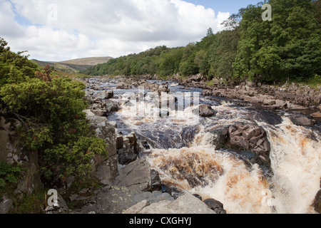 Il Fiume Tees appena prima di forza elevata in cascata in Moor House Teesdale superiore, nella contea di Durham Foto Stock